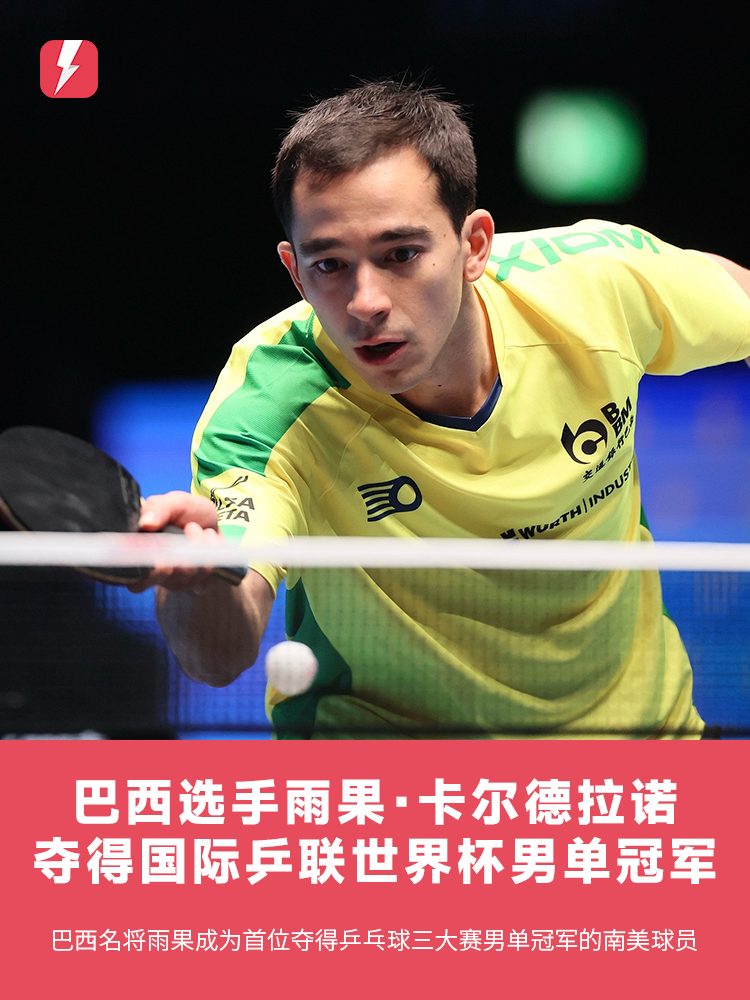 专家无疑是 专家无疑是